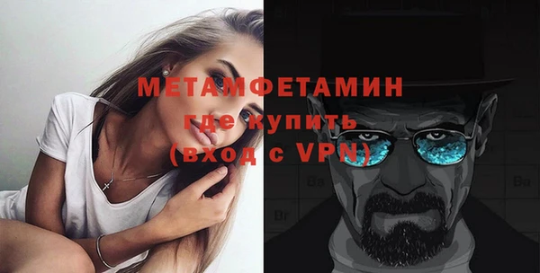 индика Вяземский