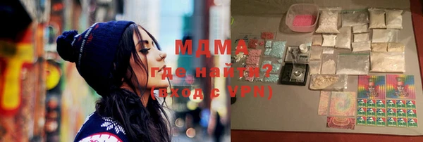 индика Вяземский