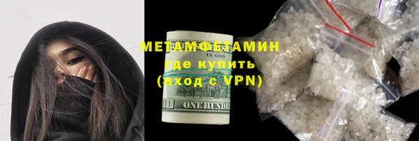 индика Вяземский
