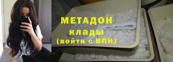 индика Вяземский