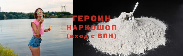 индика Вяземский