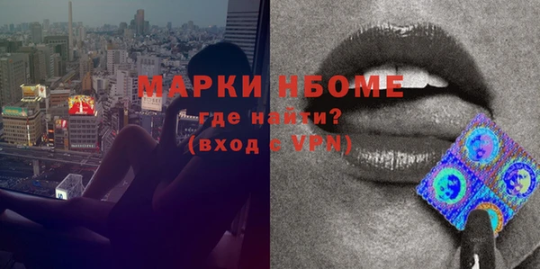 индика Вяземский