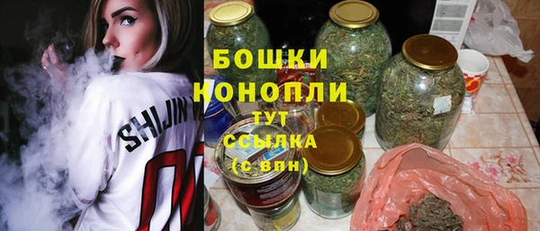 индика Вяземский