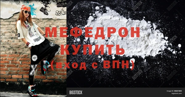 индика Вяземский