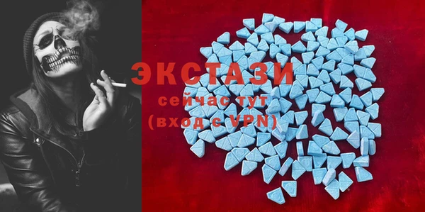 индика Вяземский