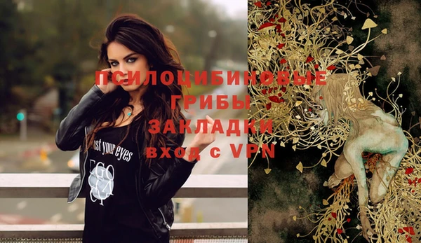 индика Вяземский