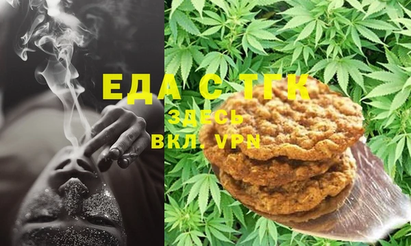 индика Вяземский