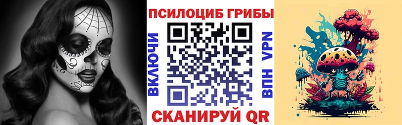 продажа наркотиков  Обнинск  Псилоцибиновые грибы GOLDEN TEACHER 